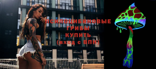 прущая мука Медвежьегорск