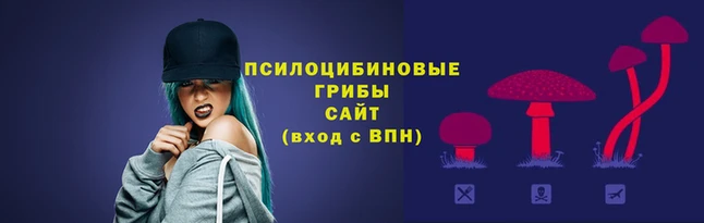 метадон Медногорск